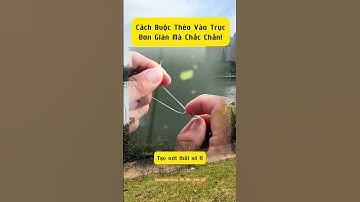 Cách buộc thẻo vào trục đơn giản chắc chắn#fishing #cauca #câucá #dammecauca #moicauca #fishingvideo