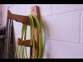 Scrap Wood Hose Rack, How To