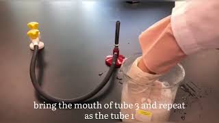 Experiment 2 Hydrocarbons