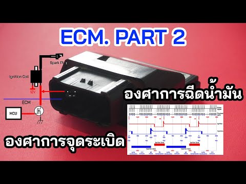 วีดีโอ: เปลี่ยนจากจุดประกายเป็น 2 องศา ได้อย่างไร?