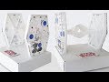 Video: StarAnts NaturColor 20x20x1,5 cms Esponja Amb Dipòsit