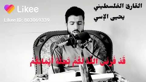 القارئ الفلسطيني يحيى الإسي