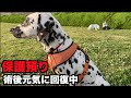 日々進歩してきました♪【22−23日】