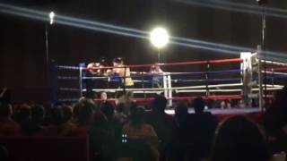 Brandon Johnson earns TKO victory