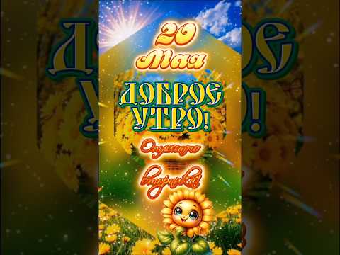 С добрым утром, мои хорошие!☀️🌻🫖#доброеутро #вторник #популярное #рекомендации