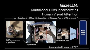 GazeLLM:  Multimodal Large Language Models incorporating Human Visual Attention, Jun Rekimoto