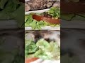 Chicken Tortilla Wrap Food Chain By Anabiya Viralshortshow Subscribe Chicken Tortilla Wrap Food Chain By Anabiya Viralshortshow Subscribe