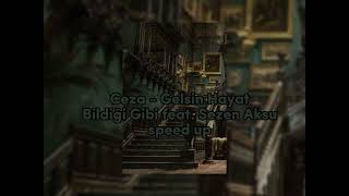 Ceza - Gelsin Hayat Bildiği Gibi Feat. Sezen Aksu Speed Up