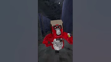 Pt 1 of completing comp course every day until my birthday #gorillatag #competition #canwedoit