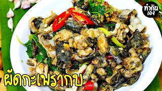 ผัดกะเพรากบ Spicy Frog Meat With Thai Basil | ทำกินเอง