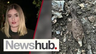 Residents forced to evacuate following explosive discovery | Newshub