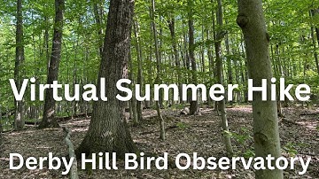 Relaxing Virtual Summer Hike at the Derby Hill Bird Observatory