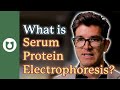 What is a Serum Protein Electrophoresis (SPEP)?