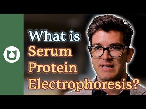 What Is A Serum Protein Electrophoresis