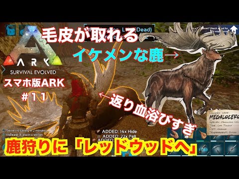 Arkモバイル スマホ版ark １１ Pveサーバー 防寒具のため毛皮集め メガロケロス狩りに出発 メタルもいっぱい Ark Survival Evolvedアークサバイバルエボルブル Youtube