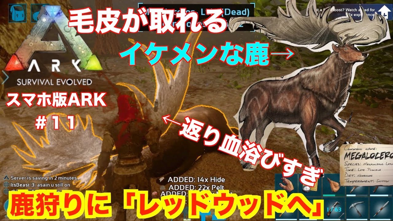 カワウソ Ark 生息地 Ark Ps4 便利で可愛いレア生物 カワウソのテイムと生息地