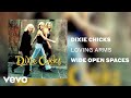 The Chicks - Loving Arms (Official Audio)