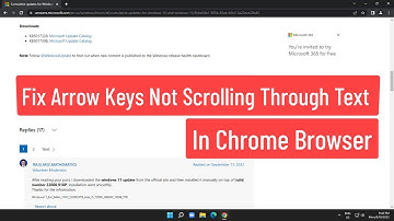 Fix Arrow Keys Not Scrolling Webpages, Navigating Through Text in Chrome Browser