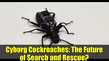 Cyborg Cockroaches: The Future of Search and Rescue?