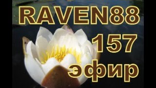 RAVEN 88 ЭФИР 157