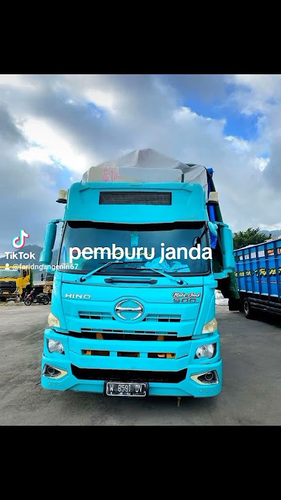 Pemburu janda
