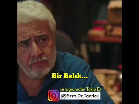 Balık Ve Kuşun Hikayesi