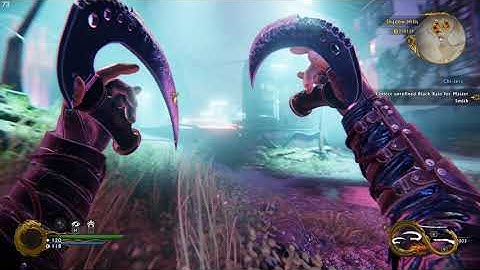 Few minutes of Shadow Warrior 2 gameplay