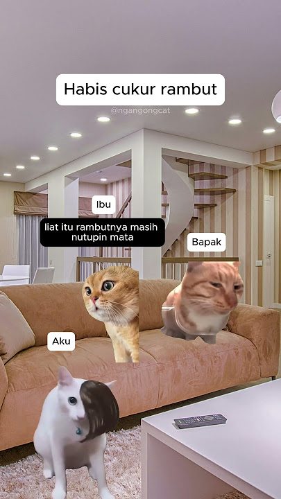 Jamet tak direstui 😅#kucinglucu #kucingmeme #memekucing #fyp #funny #kucing #meme #memekucing