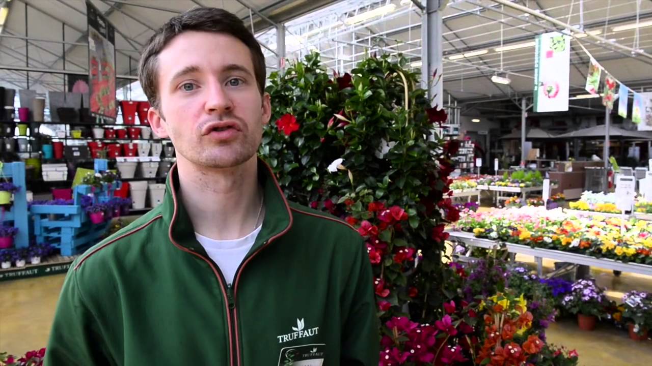 Vendeur en jardinerie, découvrir un métier avec jactiv.ouest-france.fr