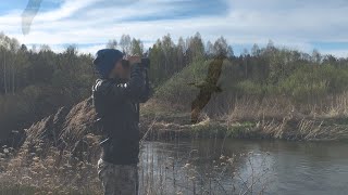 Документальный фильм "Вольная птица"