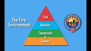 The Fire Environment (Part 4)