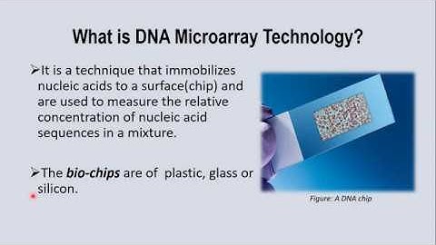 DNA Microarray Technology