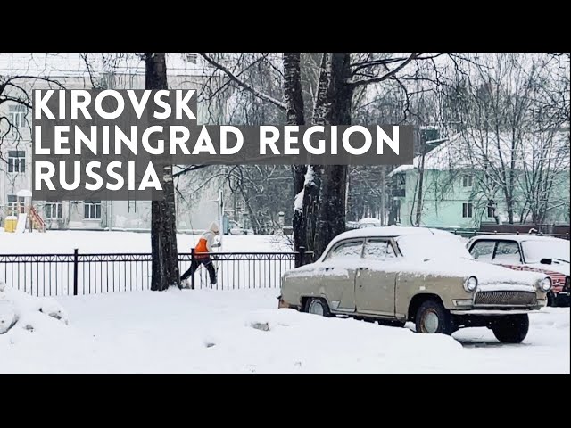 silliq sochilgan mushuk 18 yoshda Xorijiy shaxsiy video