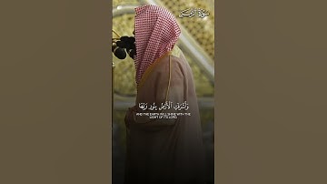 تلاوة بديعة من سورة الزمر | تلاوة فضيلة الشيخ د.#عبدالله_القرافي