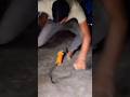pagal panti on top #shorts #short #viral #roast