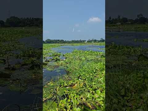 YouTube-Video