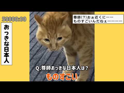 【猫ミーム】尊師リス【TETRIS x cat meme】#音MAD #猫ミーム  #tetris #catmeme #catmemes #尊師 #おっきな日本人 #おぉ近くに