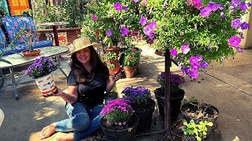 Fall Flower Shopping - Planting Up Containers!