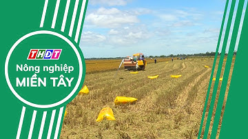 Toàn cảnh Nông nghiệp - 29/12/2024 | Nông nghiệp Miền Tây