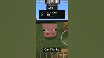 Placing a block for every subscriber I have | #Day13 | #shorts #dream #minecraft #blocks #lifesteal