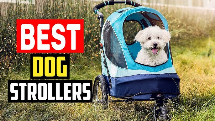 5 Best Luxury Dog Stroller for 2023 