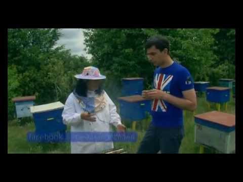 fermeris dgiuri 14 ცხელი ხაზის კითხვები