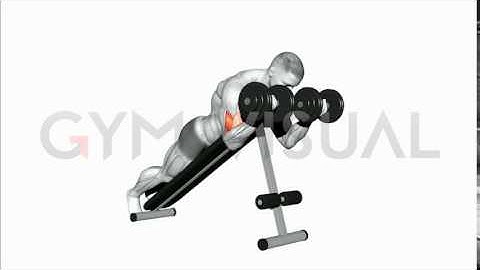 Dumbbell Prone Incline Curl