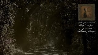 ethel cain - waco texas empty arena ( ethereal version )