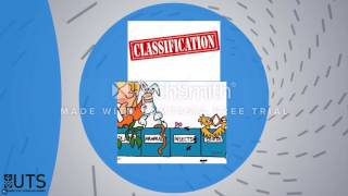 Audit Assertions