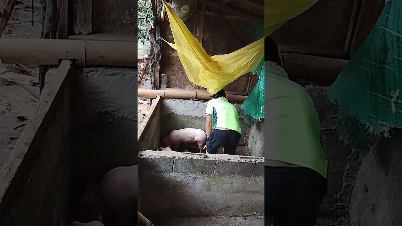 March 4-2026 Wednesday 4