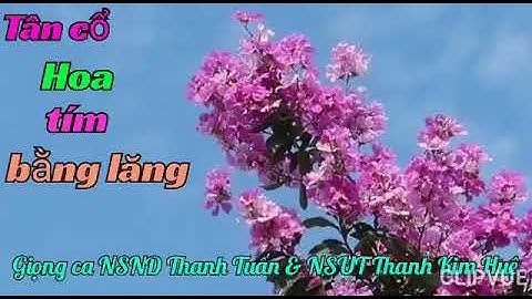 Hoa tím bằng lăng.(Bản gốc)  NSND Thanh Tuấn & NSUT Thanh Kim Huệ ca
