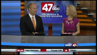 Famous Michelle Mackonochie 47 ABC Anchor/Reporter Reel Net Worth