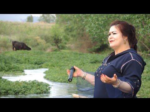 جديد عيطة زعرية 2023 حجيبة أزرو مع العسري أزرو Chaabi 2023 Hajiba Azrou جديد عيطة زعرية 2023 حجيبة أزرو مع العسري أزرو Chaabi 2023 Hajiba Azrou