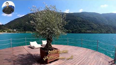 تلاوة خاشعة | سورة النازعات | للقارئ الشيخ انس عصمت الكيلاني